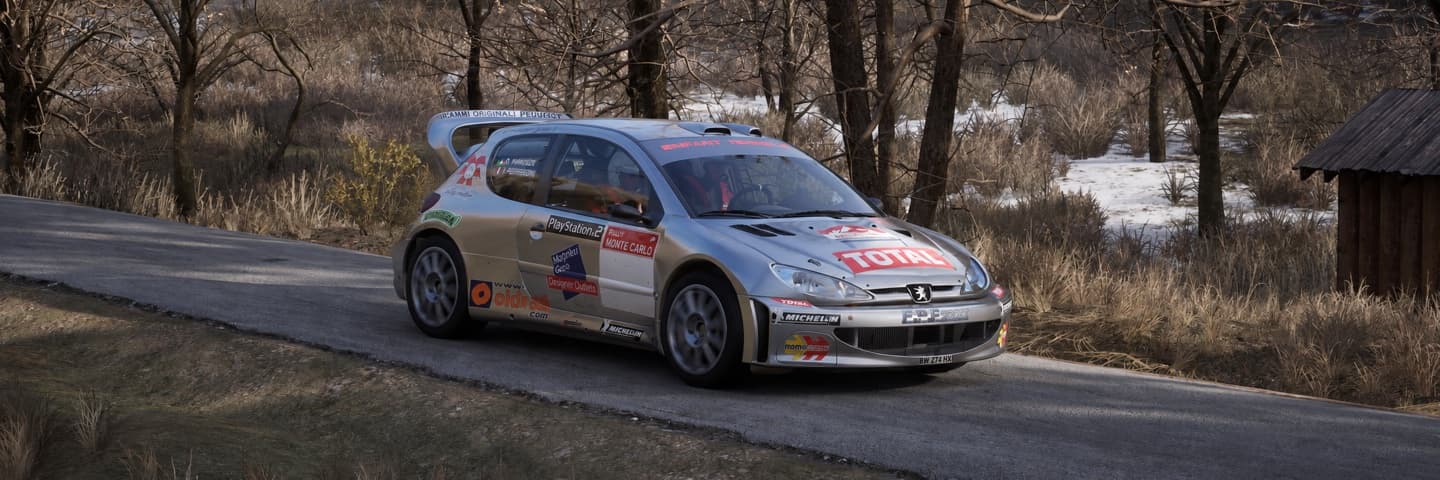 Peugeot 206 WRC on Sisteron